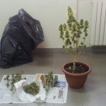 Cannabis indoor: un arresto