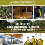Ruolo, organizzazione e obiettivi dell’olivicoltura pugliese