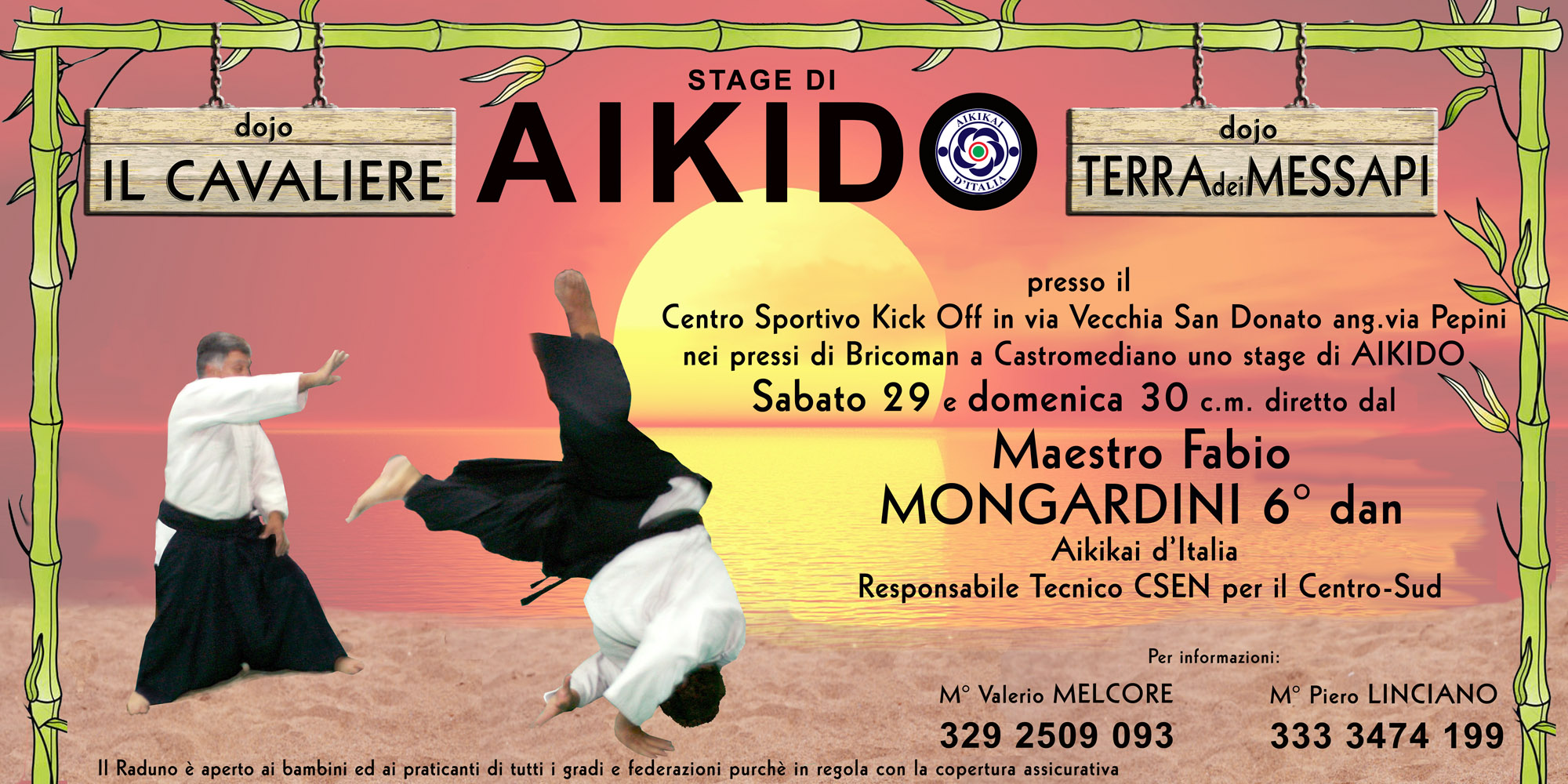 AIKIDO: POSTER 6X3 A LECCE ANNUNCIANO LO STAGE DIRETTO DAL MAESTRO MONGARDINI