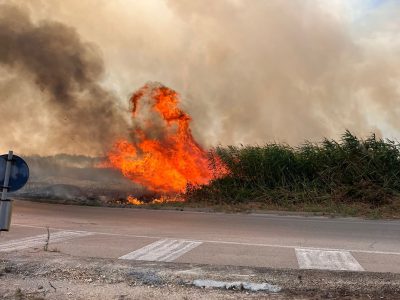 INCENDI: LE VERITA’ DI leccecronaca.it