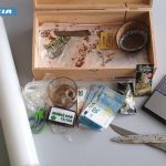 BRINDISI, ARRESTATO UN PREGIUDICATO ACCUSATO DI SPACCIO DI HASHISH: NASCONDEVA LA DROGA IN CASA BRINDISI, ARRESTATO UN PREGIUDICATO ACCUSATO DI SPACCIO DI HASHISH: NASCONDEVA LA DROGA IN CASA