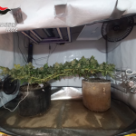 DROGA A SANTA MARIA DI LEUCA: DUE ARRESTI IN MENO DI 24 ORE DROGA A SANTA MARIA DI LEUCA: DUE ARRESTI IN MENO DI 24 ORE