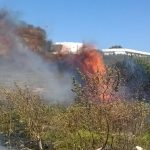 INCENDIA LA MACCHIA MEDITERRANEA A SAN PIETRO IN BEVAGNA: 32ENNE ARRESTATO DAI CARABINIERI INCENDIA LA MACCHIA MEDITERRANEA A SAN PIETRO IN BEVAGNA: 32ENNE ARRESTATO DAI CARABINIERI