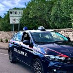 TENSIONE AL CAMPO SPORTIVO DI VEGLIE: PARTITA INTERROTTA DOPO GLI SCONTRI TRA TIFOSI, NOVE I FERMATI TENSIONE AL CAMPO SPORTIVO DI VEGLIE: PARTITA INTERROTTA DOPO GLI SCONTRI TRA TIFOSI, NOVE I FERMATI