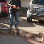 CAGNOLINO TRAVOLTO E UCCISO NEL PARCHEGGIO DELL’EX OSPEDALE VITO FAZZI: E’ CACCIA ALL’AUTO PIRATA