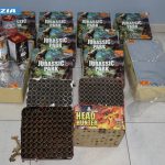 BRINDISI, CONTROLLI DI FINE ANNO: FUOCHI SEQUESTRATI, QUATTRO DENUNCE