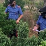 PADRE E FIGLIO CONDANNATI A 14 ANNI PER TRAFFICO DI DROGA