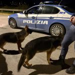 VOLANTE DELLA POLIZIA DI STATO DI BRINDISI SALVA DUE CANI IN STRADA