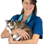 NOVITA’ EDITORIALI / IL MEDICO VETERINARIO VALENTINA MAURIELLO HA SCRITTO UNA “Guida per una relazione sana e consapevole” FRA ASINI, CAVALLI E UMANI