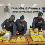 BRINDISI, LA GUARDIA DI FINANZA SEQUESTRA TABACCO DA MASTICARE