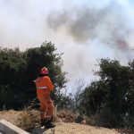 CASARANO, INCENDIO TRA LE CAMPAGNE
