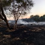INCENDI BOSCHIVI, E’ ANCORA EMERGENZA: IL PUNTO DELLA SITUAZIONE