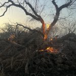 L’INCENDIO DEL GIORNO A STERNATIA