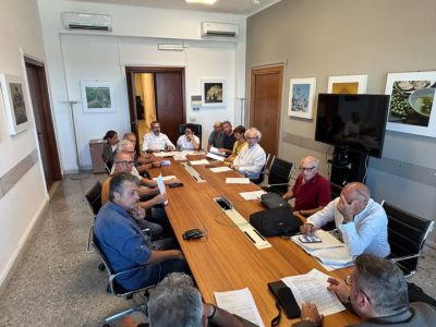 XYLELLA / LE ASSOCIAZIONI E I COMITATI INCONTRANO IN REGIONE PUGLIA L’ASSESSORE ALL’AGRICOLTURA FRANCESCO PAOLICELLI: ‘Stop abbattimenti, prendete atto delle rigenerazioni naturali, puntate sull’olivicoltura tradizionale’
