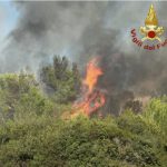ANCORA INCENDI NEL SALENTO, ANCORA SENZA RISPOSTA TANTE DOMANDE