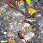 Allo Zimbalo e al Quinto Ennio le coppe dei campioni per la plastica