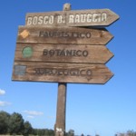 VISITE GUIDATE GRATUITE AL RAUCCIO