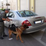 L’azione di contrasto delle Fiamme Gialle alla tossicodipendenza  Controlli e denunce nell’ultimo fine – settimana