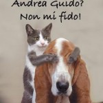 CANE O GATTO PER ME PARI SONO