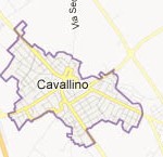 RISULTATI ELETTORALI COMUNE DI CAVALLINO