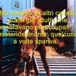 FARE ATTENZIONE ALLA CARNE DA CAVALLO E NON SOLO