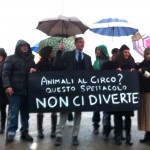 CIRCO MARINA ORFEI, LA PROTESTA DELLE ASSOCIAZIONI ANIMALISTE