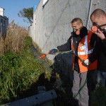 UN VADEMECUM PER COMBATTERE LE ZANZARE