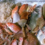 ARRIVA IL BUONPESCATO ITALIANO
