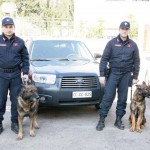 CONTROLLI A TAPPETO DELLA POLIZIA DI STATO