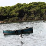 CONTROLLI SUI PESCATORI DI PORTO CESAREO