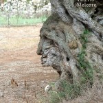 L’INVITO / SOS SALENTO PARADISO PERDUTO? – INCONTRO CON L’AUTORE DEL ROMANZO