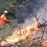 INCENDI E ROGHI. LA STORIA SI RIPETE OGNI ANNO