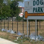 DOG PARK O PLASTICK PARK?