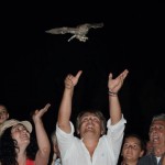 MUSEO DI STORIA NATURALE DI CALIMERA, DONNO (M5S): EVITIAMO LA CHIUSURA