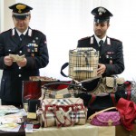BORSE GRIFFATE E DENARO CONTANTE: DENUNCIATA 48ENNE