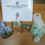 CARABINIERI: RAFFICA DI DENUNCE NEL WEEK-END