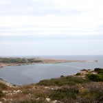 LE ORTE