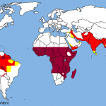 MALARIA A RISCHIO ANCHE L’ITALIA