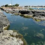 ANCORA DUE SETTIMANE DI ATTESA E POI LA PULIZIA DEI CANALI DI TORRE CHIANCA. PAROLA DI ANDREA GUIDO