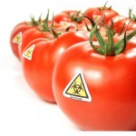 LA MONSANTO TENTA DI BREVETTARE PURE I PRODOTTI NATURALI