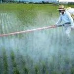 “FERTILIZZANTI” CONTENENTI PESTICIDI, VASTA OPERAZIONE IN TUTTA ITALIA