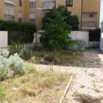 LECCE: UNA CITTA’ ALL’ABBANDONO – reportage fotografico