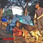 Carabinieri di Casarano: Operazione week-end