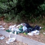 ANCORA SPAZZATURA NELLA PINETA DI SAN CATALDO