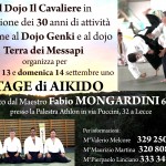 LECCE: OGGI LE SCUOLE DI AIKIDO LECCESI E ROMANE FESTEGGIANO I 30 ANNI DI AIKIDO DEL DOJO IL CAVALIERE