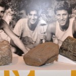 CAVALLINO: TROVATA UNA SEGA