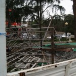 SORPRESI A RUBARE UNA RECINZIONE DI FERRO, ARRESTATI PADRE E FIGLIO DI SURBO