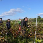CAMMINATE ECOLOGICHE / L’ASSOCIAZIONE “AVANGUARDIE” A SAN PIETRO DI BEVAGNA DOMENICA 9