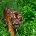 INIZIATIVE / CENA ETNICA AFRICANA AL MUSEO DI CALIMERA SABATO 22