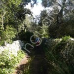 TREKKING / PASSEGGIATA FRA DOLMEN E BOSCHI INTORNO A CALIMERA DOMENICA 21